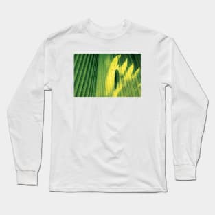 Shadow of a butterfly Long Sleeve T-Shirt